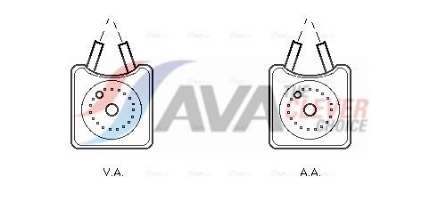 VN3106 AVA Олійний радіатор VARIOUS AUDI/VW/SEAT/FORD (Ava)