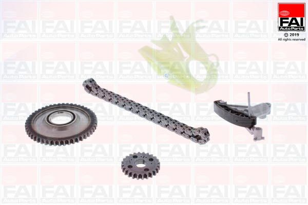 OPCK22 FAI Ланцюг ГРМ, комплект