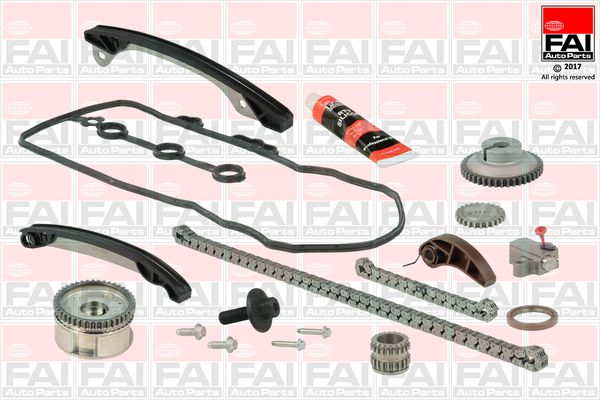 TCK249VVT FAI Ланцюг ГРМ, комплект