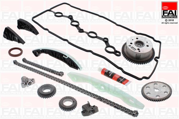 TCK254VVT FAI Ланцюг ГРМ, комплект