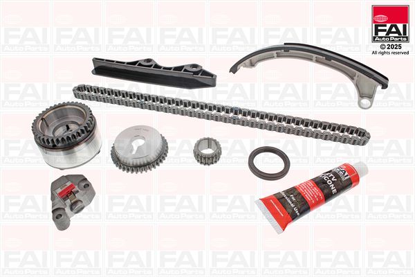 TCK46VVT FAI Ланцюг ГРМ, комплект