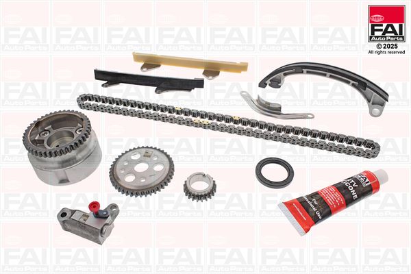 TCK56VVT FAI Ланцюг ГРМ, комплект
