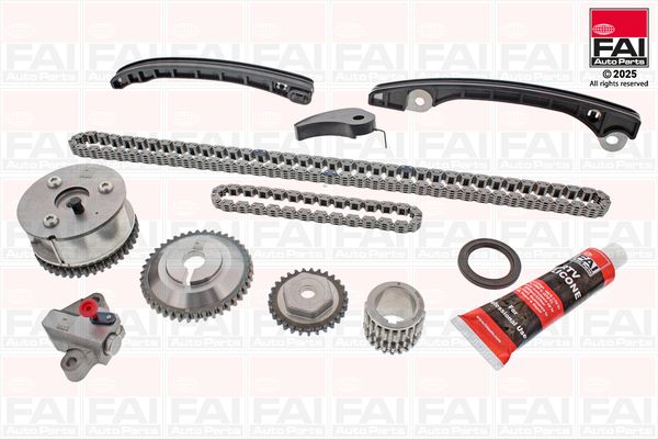 TCK66VVT FAI Ланцюг ГРМ, комплект