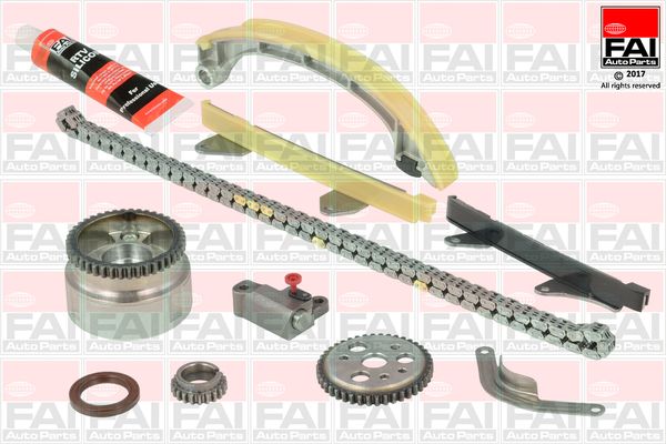 TCK82VVT FAI Ланцюг ГРМ, комплект
