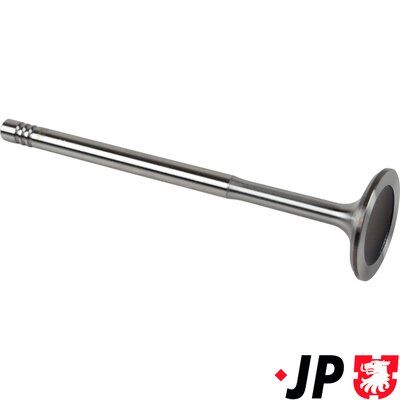 JP Group 1111301100 Впускний клапан