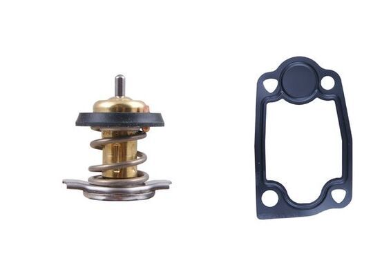 MAHLE TX26679D Термостат Citroen Jumper/Fiat Ducato/Peugeot Boxer 3.0HDI 06-