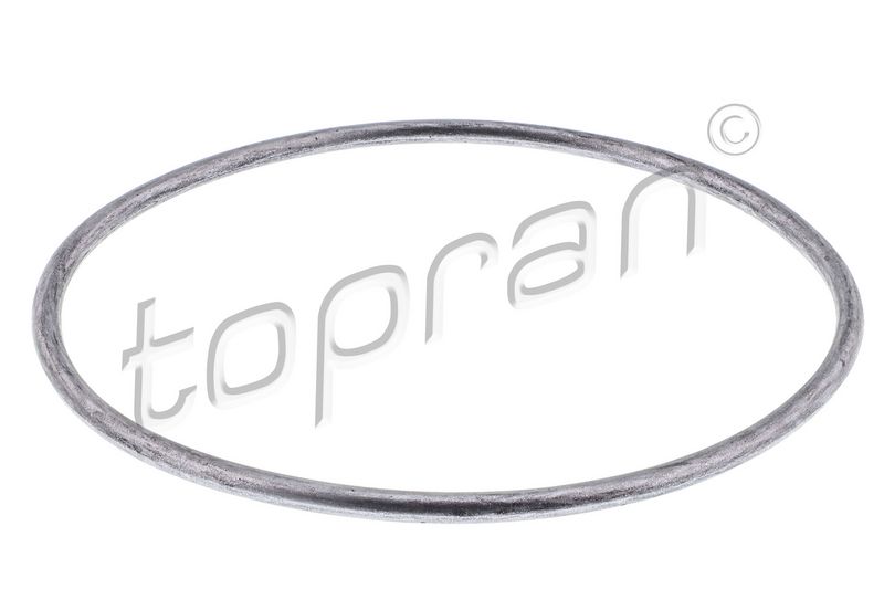 Topran 100674 Прокладка, водяной насос