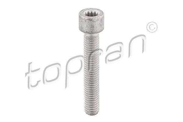 Topran 104306 Болт Кріплення ШРУСа