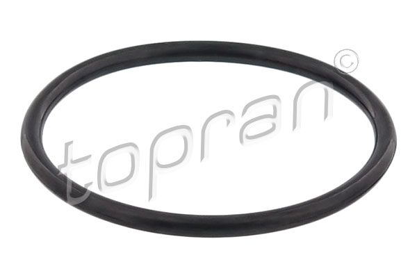 Topran 117329 Ущільнення, термостат