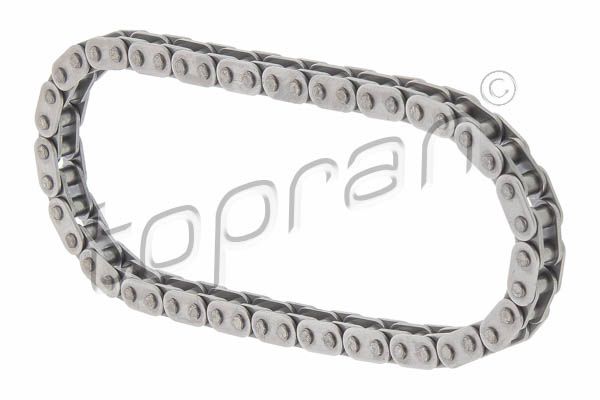 Topran 117527 Ланцюг газорозподільчого механізму