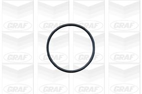 GRAF PA603 Насос охолоджувальної рідини, охолодження двигуна