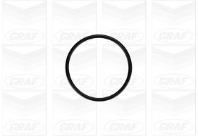 GRAF PA879 Насос охолоджувальної рідини, охолодження двигуна