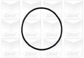 GRAF PA898 Насос охолоджувальної рідини, охолодження двигуна
