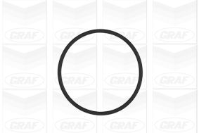 GRAF PA953 Насос охолоджувальної рідини, охолодження двигуна