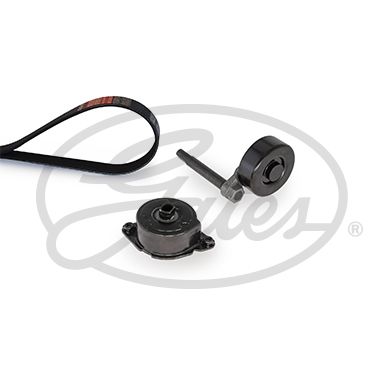 K025PK838 (7884-21380)  Комплект ременів GATES MICRO V KIT