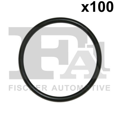 FA1 076394100 Ущільнювальне кільце