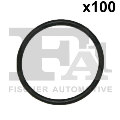 FA1 076408100 Ущільнювальне кільце