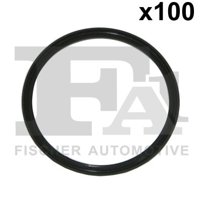 FA1 076411100 Ущільнювальне кільце