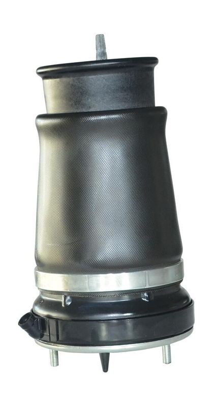 MONROE ASP009 Пневморесора, ходова частина