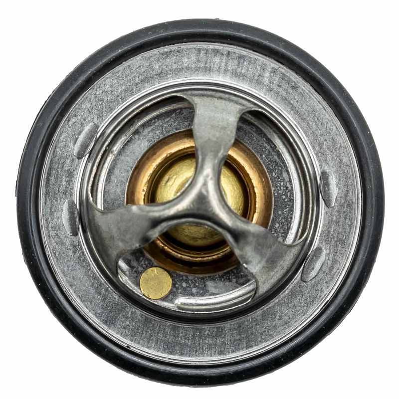 MOTORAD 53182K Термостат Ford Fusion/Fiesta/Focus 1.2-1.6 95- (82˚C)