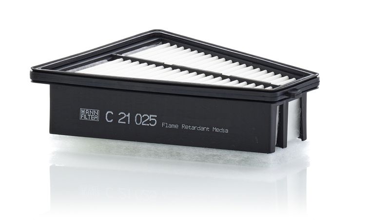 C21025 Фільтр повітря (MANN)