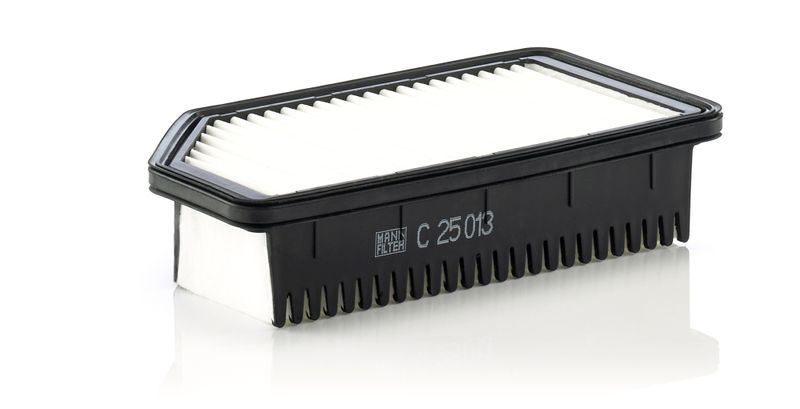 C25013 Фільтр повітря (MANN)