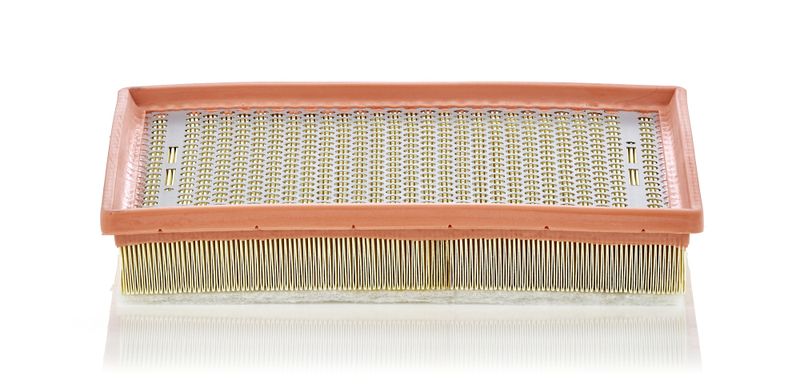 C30170/1 Фільтр повітря (MANN)