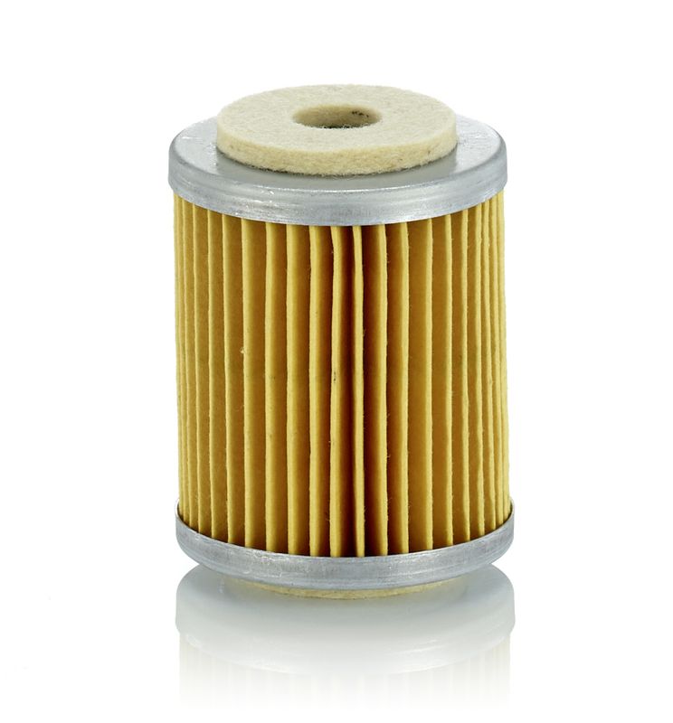 P609 Фільтр палива (MANN)