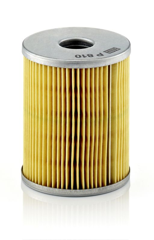 P810x Фільтр палива (MANN)