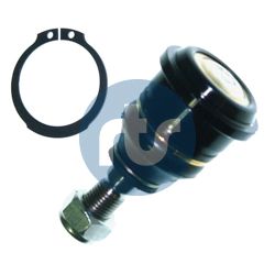 RTS 9302328 Опора кульова (передня/знизу) Nissan Primera 02-/Almera Tino/Maxima 00-06/Infiniti i30 (