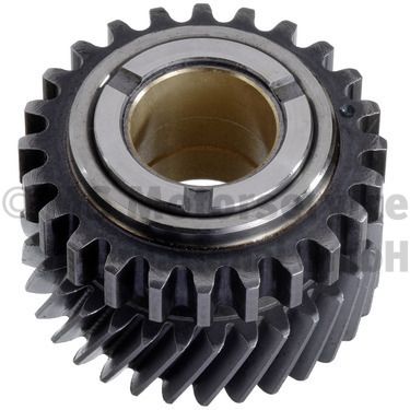 Kolbenschmidt 50056206 Комплект ланцюгів привода