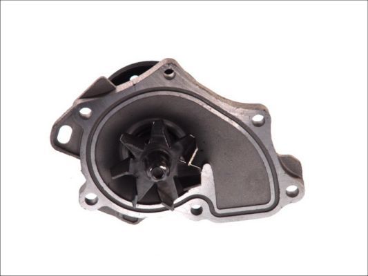 Thermotec D12004TT Насос охолоджувальної рідини, охолодження двигуна