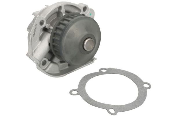 Thermotec D1F011TT Насос охолоджувальної рідини, охолодження двигуна