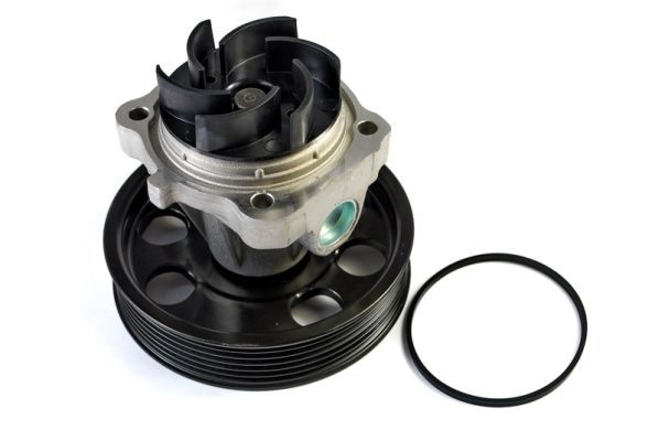 Thermotec D1F074TT Насос охолоджувальної рідини, охолодження двигуна