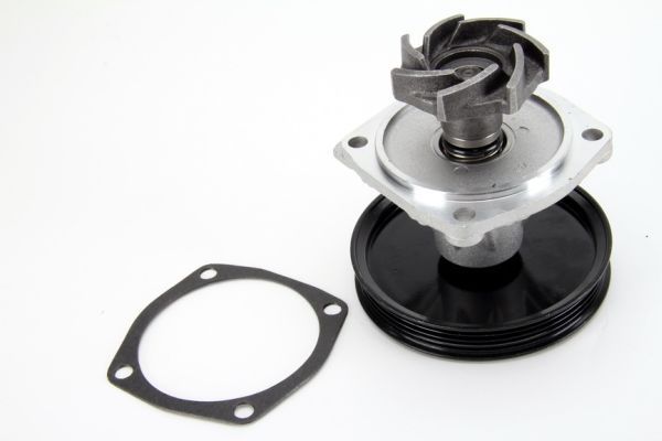 Thermotec D1H015TT Насос охолоджувальної рідини, охолодження двигуна