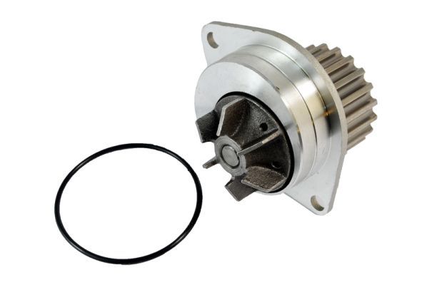 Thermotec D1P019TT Насос охолоджувальної рідини, охолодження двигуна