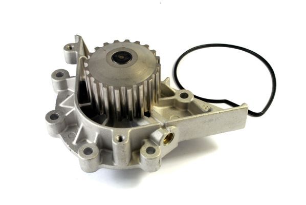 Thermotec D1P040TT Насос охолоджувальної рідини, охолодження двигуна