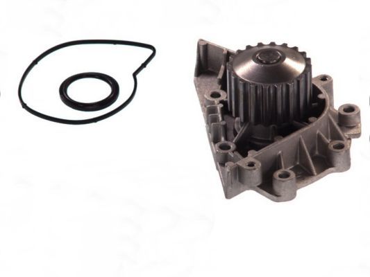 Thermotec D1P042TT Насос охолоджувальної рідини, охолодження двигуна
