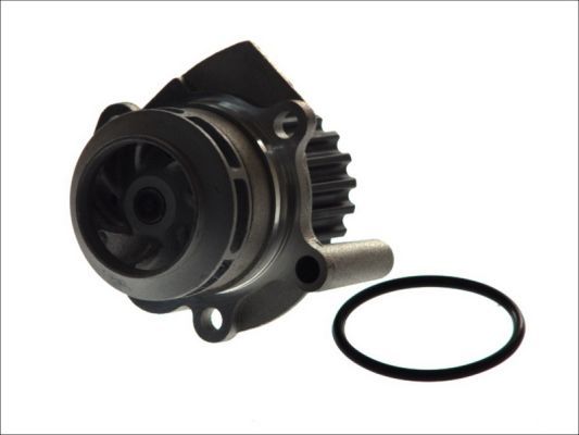 Thermotec D1W039TT Насос охолоджувальної рідини, охолодження двигуна
