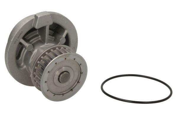 Thermotec D1X021TT Насос охолоджувальної рідини, охолодження двигуна