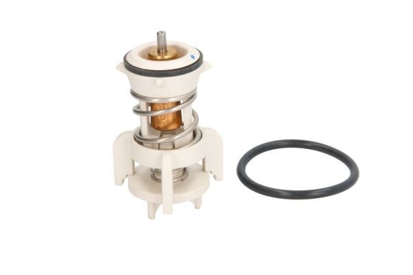 Thermotec D2A010TT Термостат, охолоджувальна рідина