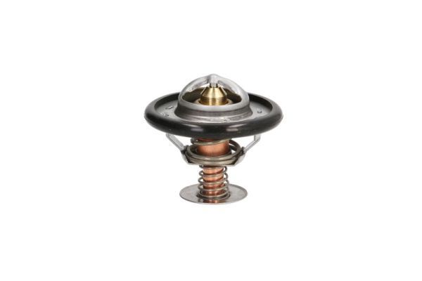 Thermotec D2C002TT Термостат, охолоджувальна рідина