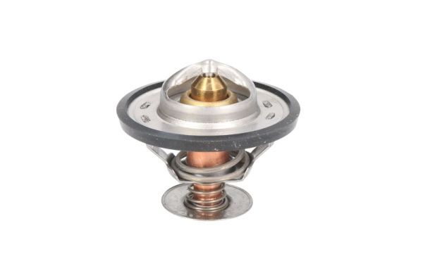 Thermotec D2CA005TT Термостат, охолоджувальна рідина