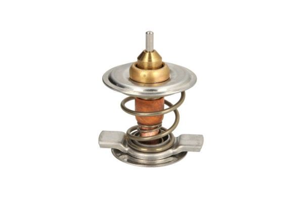 Thermotec D2CL001TT Термостат, охолоджувальна рідина