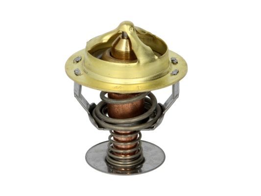 Thermotec D2CU001TT Термостат, охолоджувальна рідина