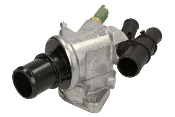 Thermotec D2F006TT Термостат, охолоджувальна рідина