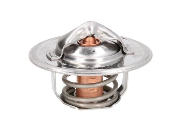 Thermotec D2FO001TT Термостат, охолоджувальна рідина