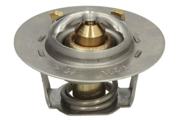 Thermotec D2IS001TT Термостат, охолоджувальна рідина
