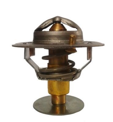 Thermotec D2PE003TT Термостат, охолоджувальна рідина