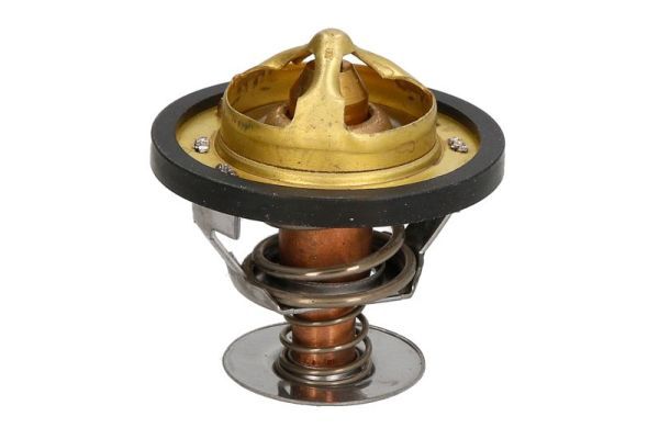 Thermotec D2PE006TT Термостат, охолоджувальна рідина